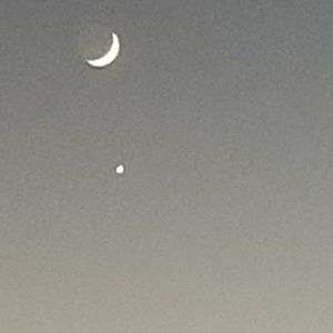 Meet your Posher, Albert